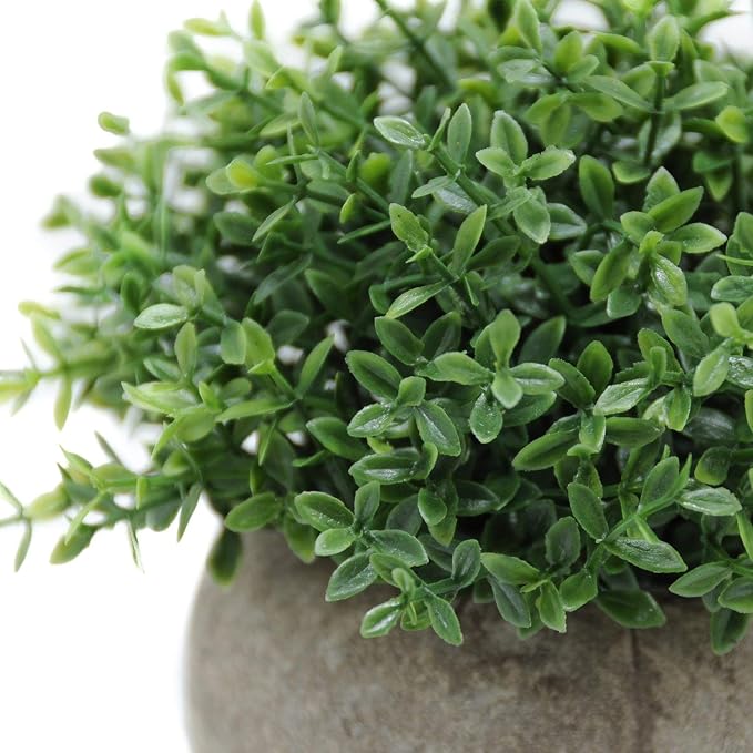 Velener Mini Sage Green Potted Boxwood Topiary Artificial Plants - Image 8