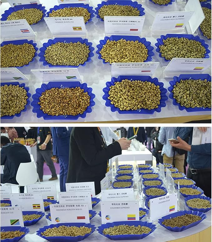 Coffee Beans Cupping Sample Tray - Image 7