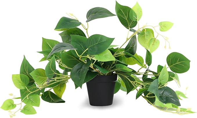 Tiita 1 Pack Fake Plants Artificial Scindapsus Aureus in Pots, Realistic Fake by TiitaHome