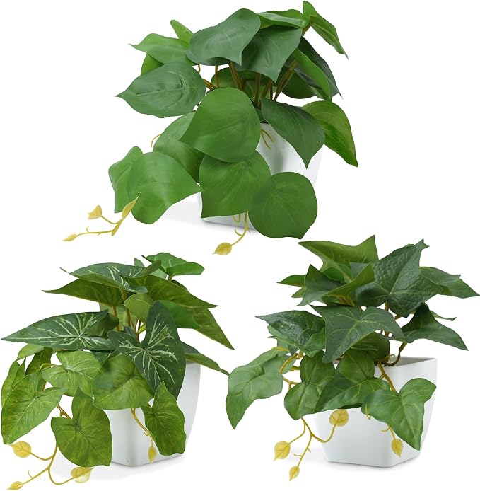 COCOBOO 3 Packs Fake Plants, Small Artificial Plants by Unknown