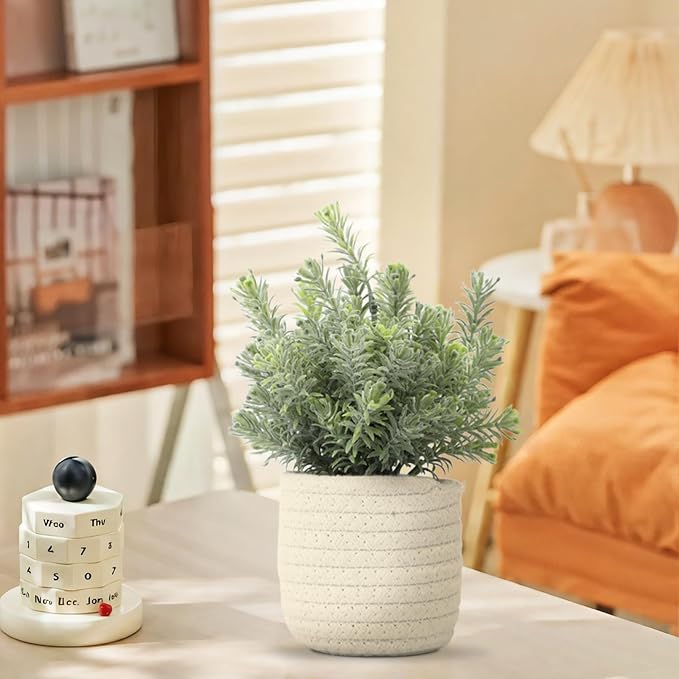 Hopewood Small Artificial Plants Eucalyptus - Image 4