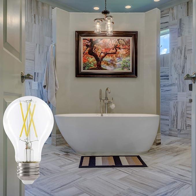 Xtricity LED 9W A19 Filament Clear Light Bulb, 60W Equivalent, 800 Lumens - Image 6