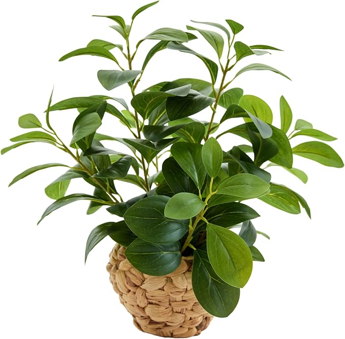 AlphaAcc 15.7" Artificial Fig Leaf Plant in Water Hyacinth Basket by AlphaAcc