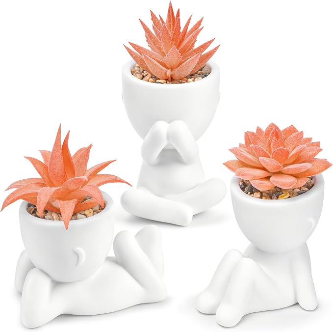 Der Rose Set of 3 Fall Artificial Succulent Plants, Small Fake Plants in Cute by DerRose