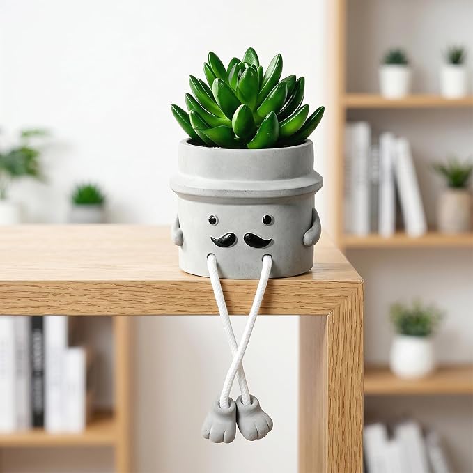 Fake Plant with Gray Flower Pot Artificial Succulents Plant - Image 6