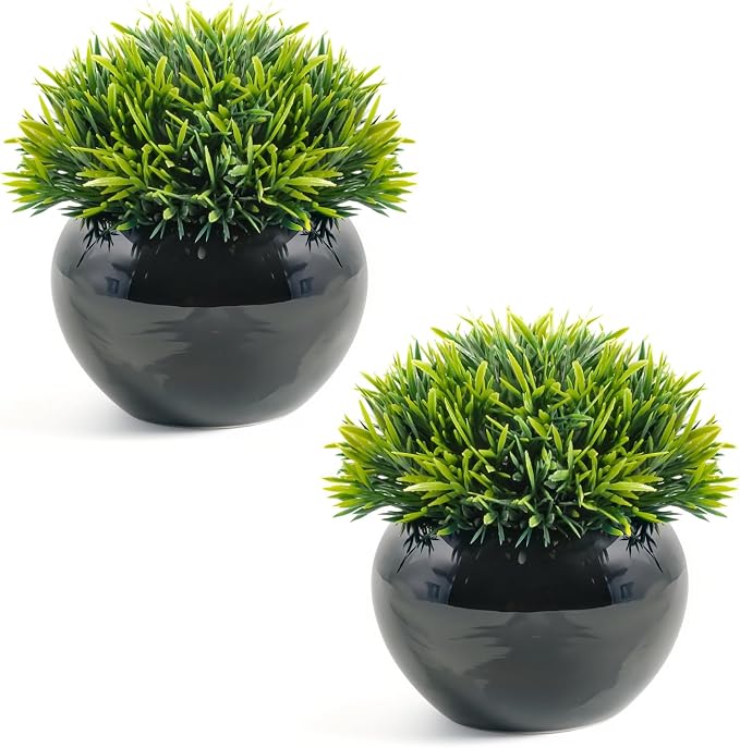 Velener Small Artificial Succulents Grass Desk Plant by Velener
