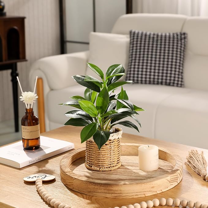 Nubry Fake Plants Artificial Potted Plants - Image 4