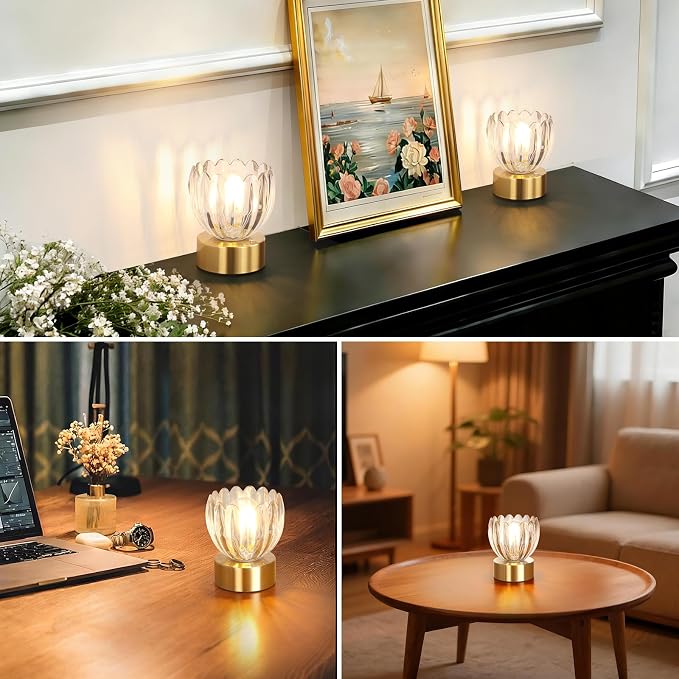 Shenmoyl Cordless Small Table Lamp - Image 5