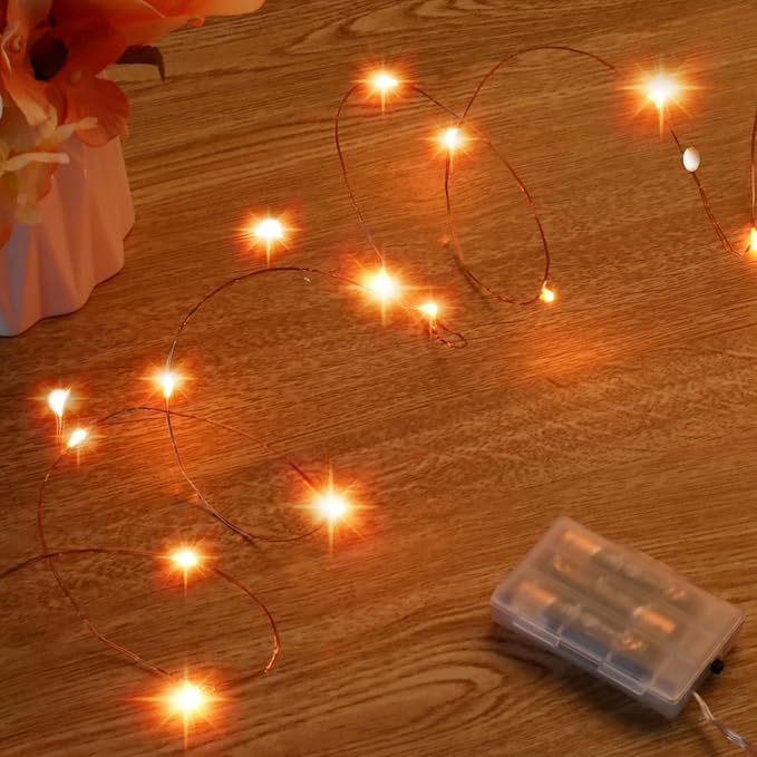Ariceleo Mini Halloween Fairy Lights Battery Operate, 1 Pack Copper Wire Night by Ariceleo
