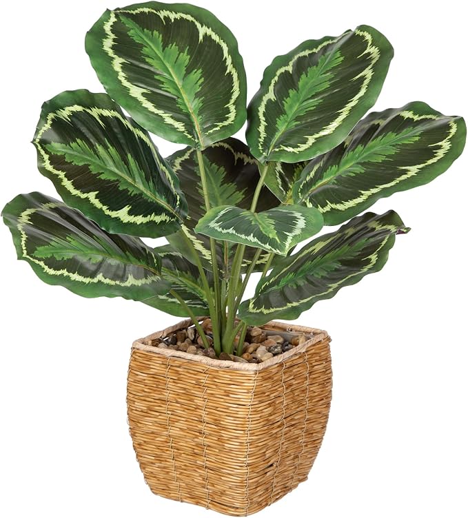 Briful Fake Plants Potted Calathea Medallion Artificial Plants Indoor Realistic by Briful