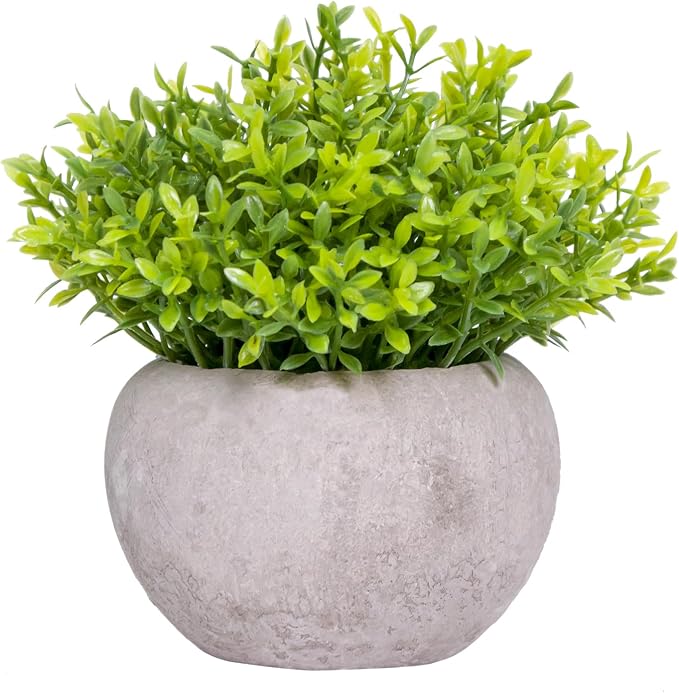 Small Fake Plants for Bathroom Shelf Decor, Mini Artificial Plants Indoor Fake by Unknown