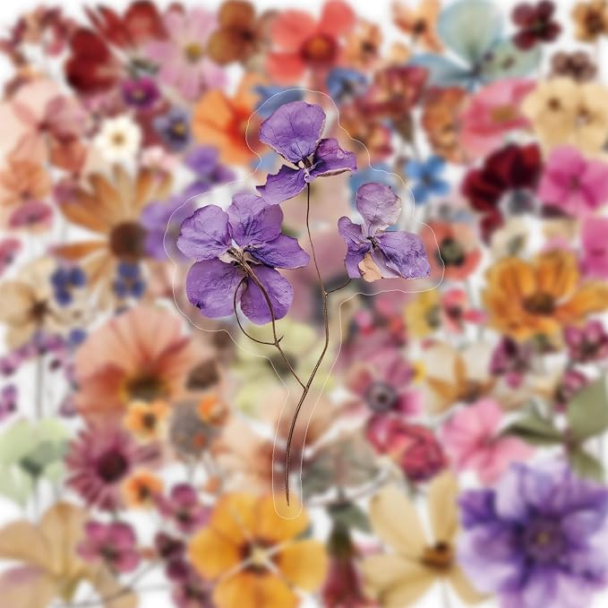 Vintage Pressed Flower Stickers, Retro Wildflower Aesthetic Stickers - Image 4