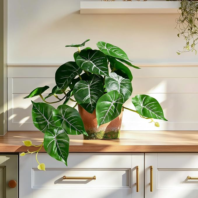 2Pack Fake Pothos Artificial Pothos Plants in Pot Realistic Small Plants by Unknown