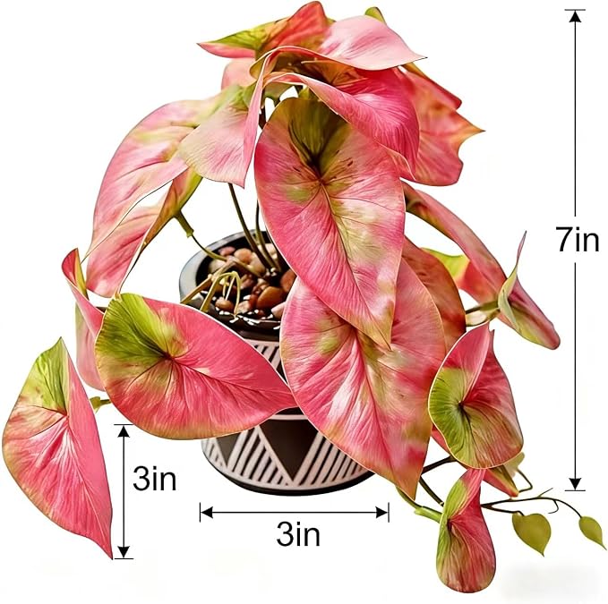 7" Artificial Red Caladium Plant in Geometric Ceramic Pot Lifelike Variegated - Image 2