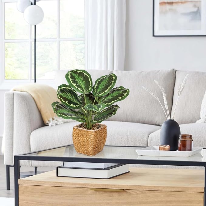 Briful Fake Plants Potted Calathea Medallion Artificial Plants Indoor Realistic - Image 5