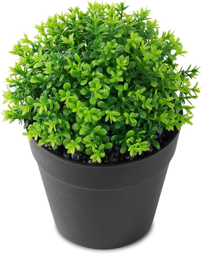 Fake Eucalyptus Potted Artificial Plant – Small Faux Eucalyptus by Unknown
