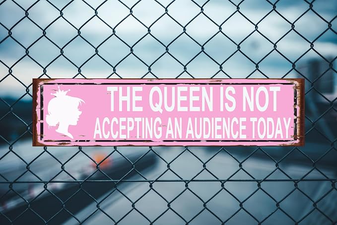 The Queen Is Not Accepting An Audience Today Sign, Rustic Metal Wall Art - Image 2