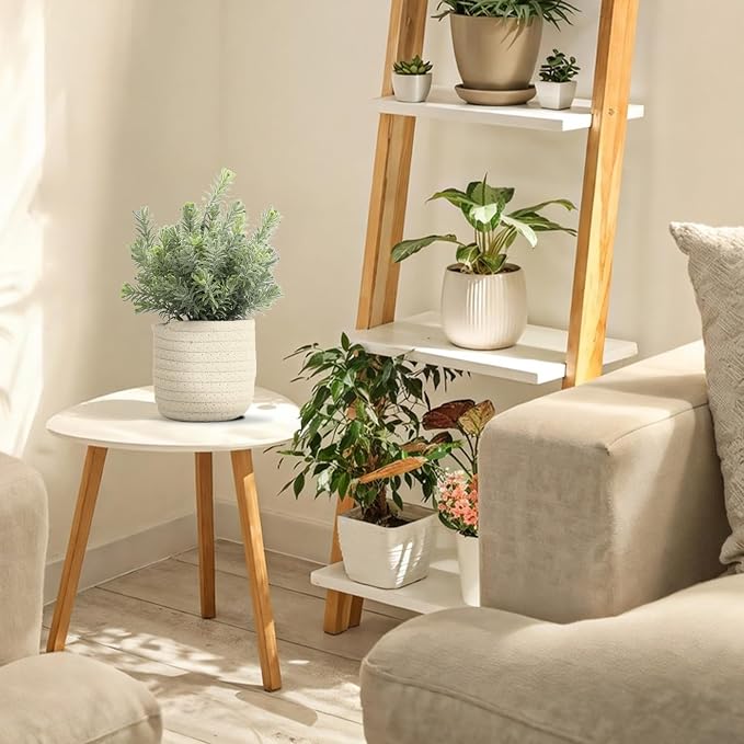 Hopewood Small Artificial Plants Eucalyptus - Image 5
