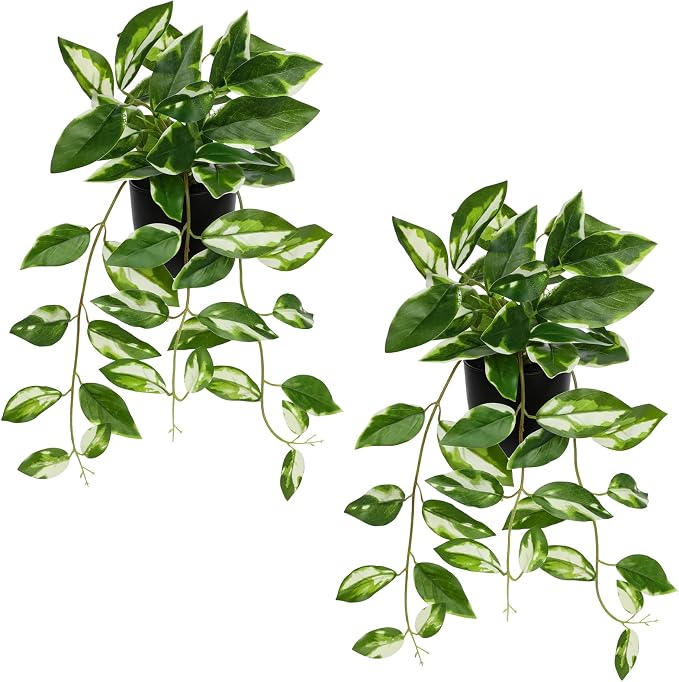 Briful Small Fake Plants Indoor Realistic Faux Trailing Plant Artificial Potted by Briful