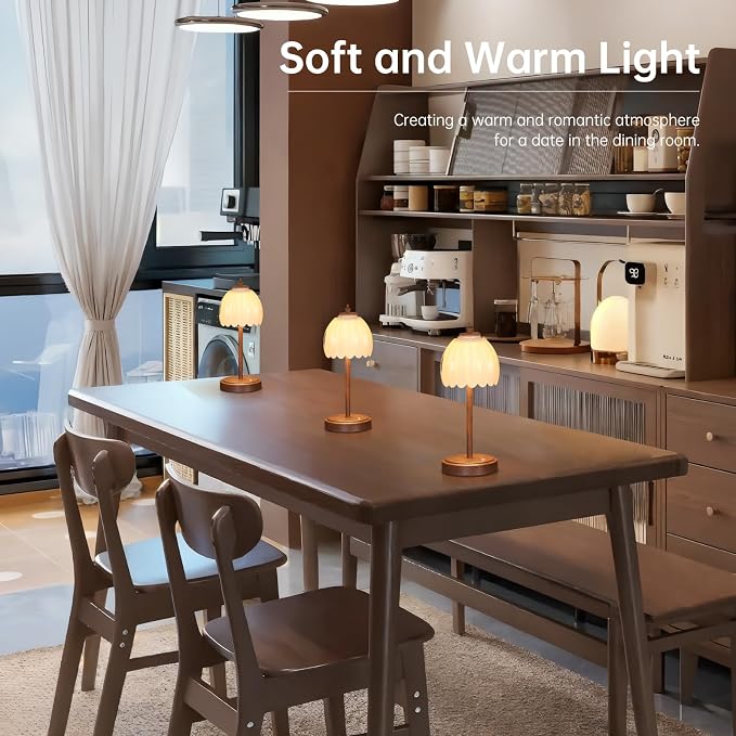 Shenmoyl Tulip Table Lamp with 5200mAh Battery & Touch Control, Small Cordless - Image 5