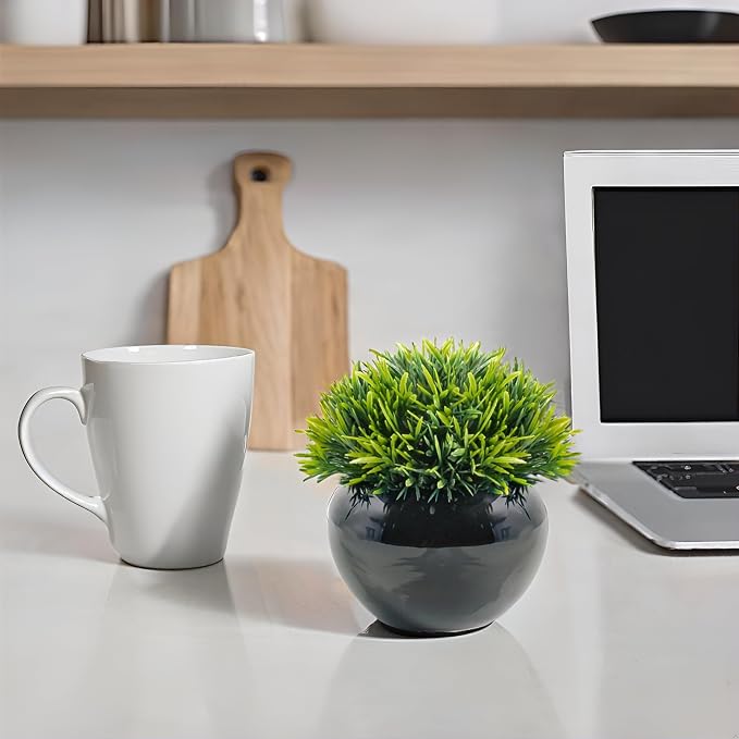 Velener Small Artificial Succulents Grass Desk Plant - Image 4