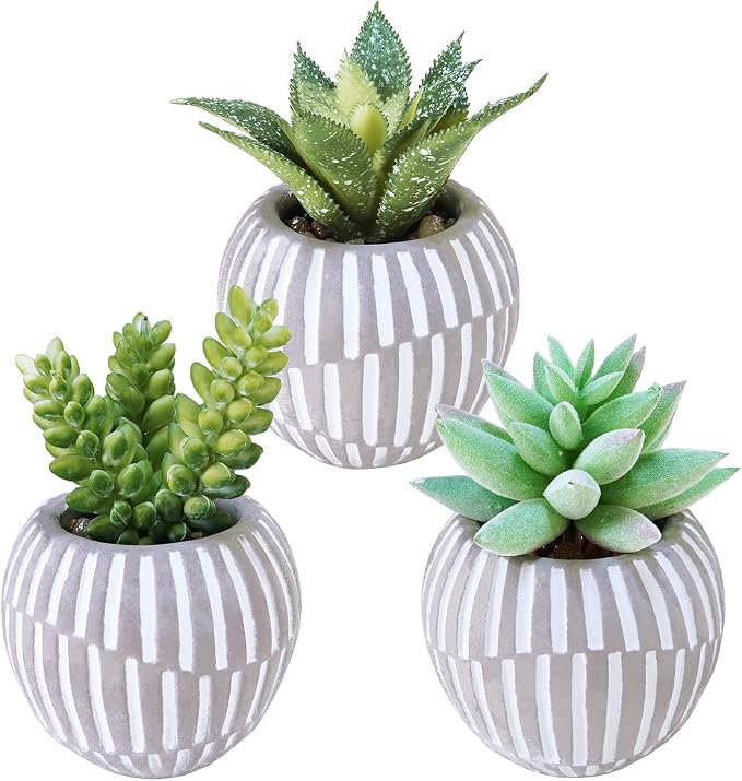 Winlyn Set of 3 Artificial Succulents Plants in Mini Gray and White Geometric by Winlyn