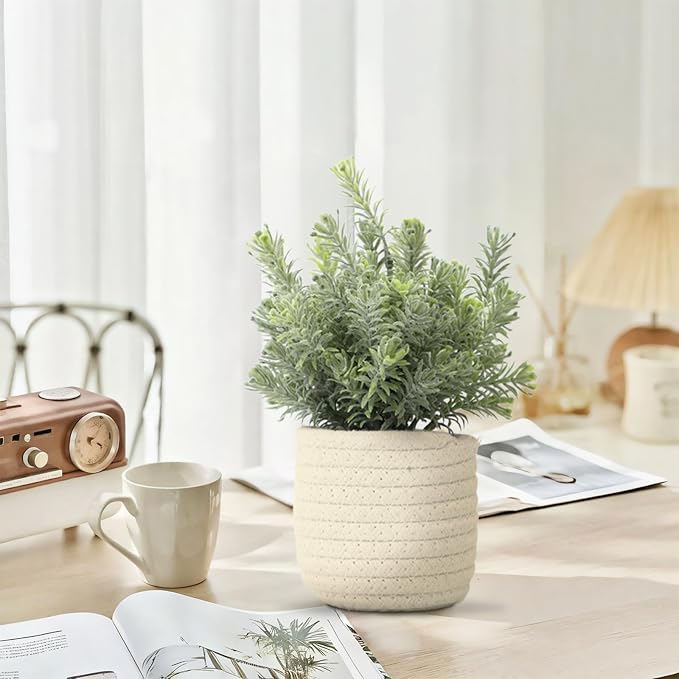 Hopewood Small Artificial Plants Eucalyptus - Image 8