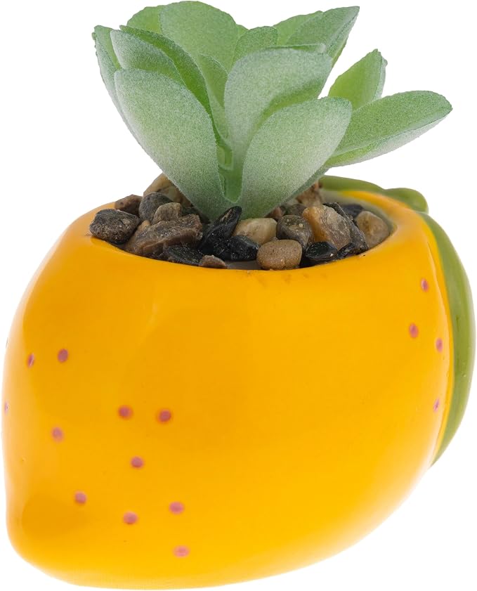 Karma, Shaped Artificial Succulents in Ceramic Pot, Faux Mini Succulent Plant by KarmaGifts