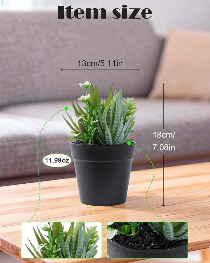 Faux Assorted Succulents - Image 3