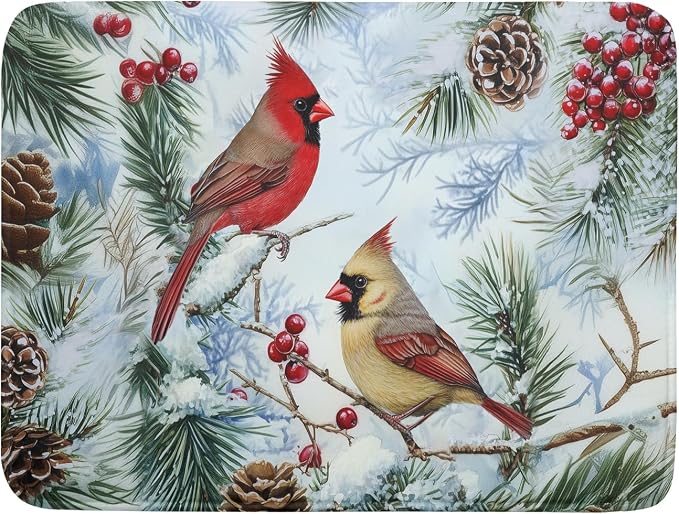 Winter Birds Dish Drying Mats 18x24 Inch, Pine Cone Berries Branch Bird Large by Kawani