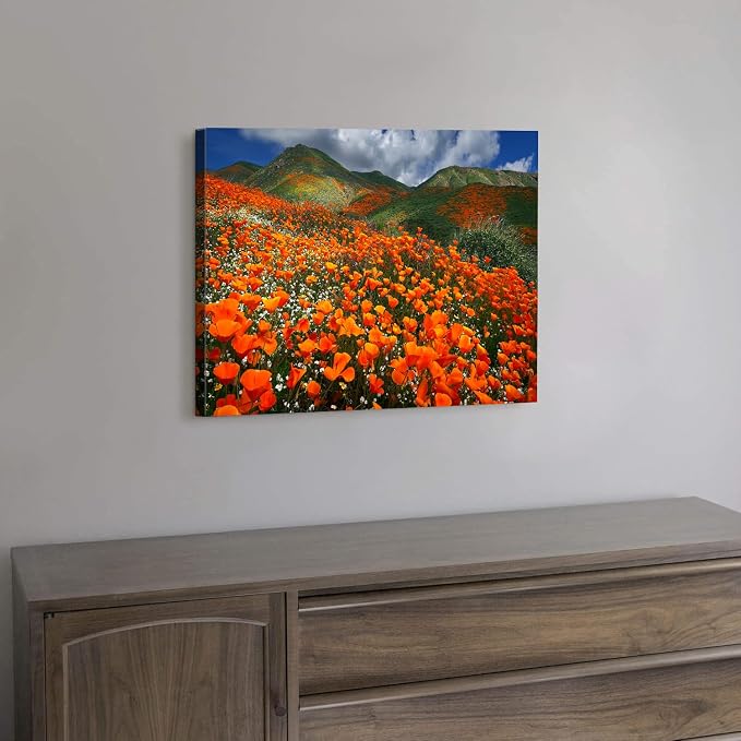 Orange Poppy Canvas Wall Art Nature Forest Mountain Landscape Pictures Wall - Image 5