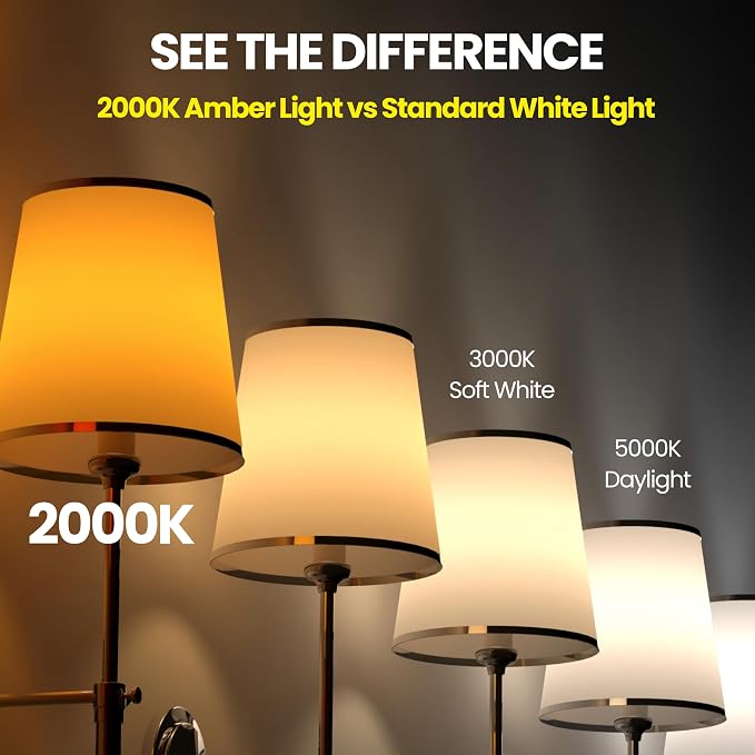 TimelessGlow 4 Pack Dimmable ST19 ST64 LED Edison Bulbs 5W 40W Equivalent Warm - Image 8