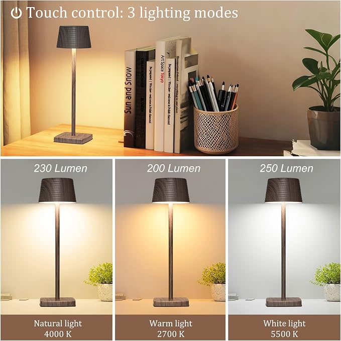 Cordless Rechargeable LED Table Lamps, 3 Color Touch Stepless Dimmable - Image 2