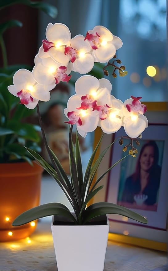 HOMESEASONS Orchid Lamp-LED Lighted Orchid Arrangements, Pre Lit Artificial - Image 6