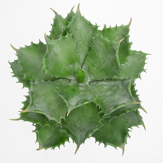 Briful Succulents Plants Artificial - Image 3