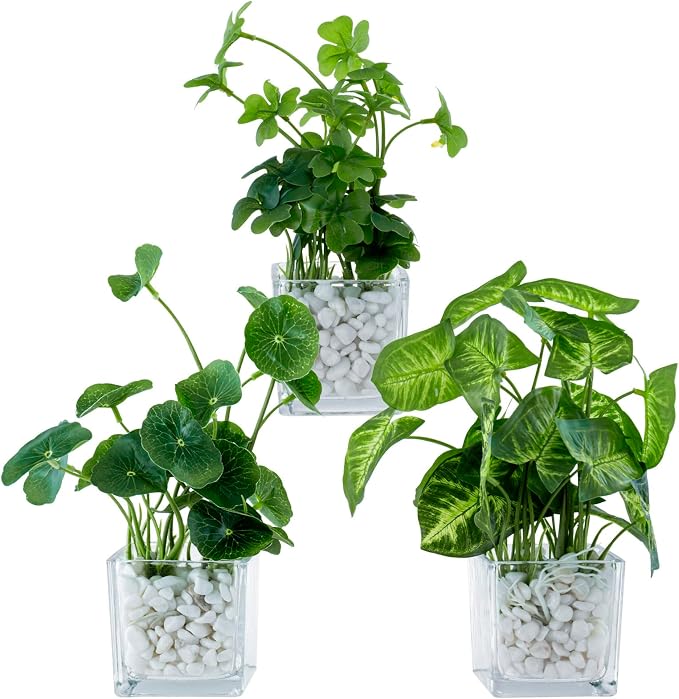 MyGift Artificial Clover and Taro Plants in Clear Glass Vase by MyGiftHome