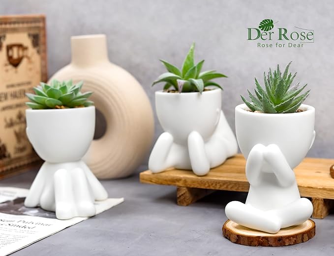 Der Rose 3pcs Fake Succulents Plants Artificial - Image 4
