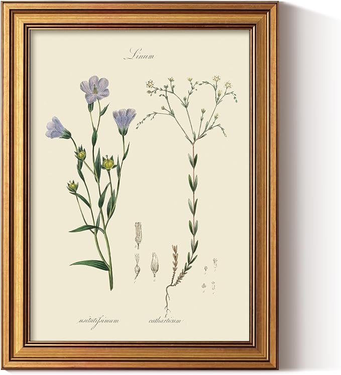 ARPEOTCY Vintage Botanical Wall Art Framed, Antique Floral Illustration by ARPEOTCY