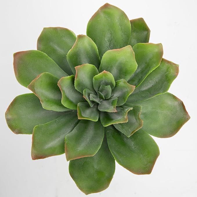 Briful Succulents Plants Artificial - Image 3