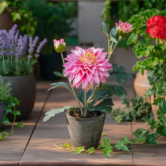 Rose Red Dahlia Flowers Fake Silk Mums Flower Artificial Chrysanthemum Flowers - Image 6