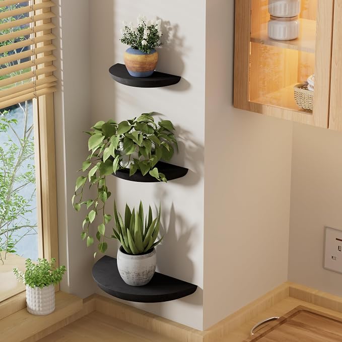 QsQueen Solid Wood Half Round Floating Wall Shelves | Elegant Floating Shelves - Image 5