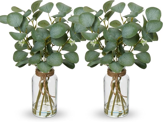 Briful Artificial Eucalyptus Stems in Glass Vase by Briful
