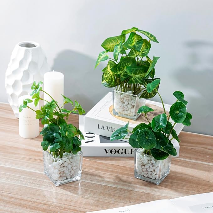 MyGift Artificial Clover and Taro Plants in Clear Glass Vase - Image 5