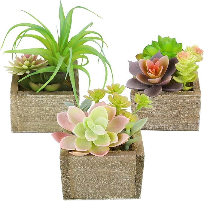 Artificial Succulents Indoor, Tabletop Accent by Mingfuxin