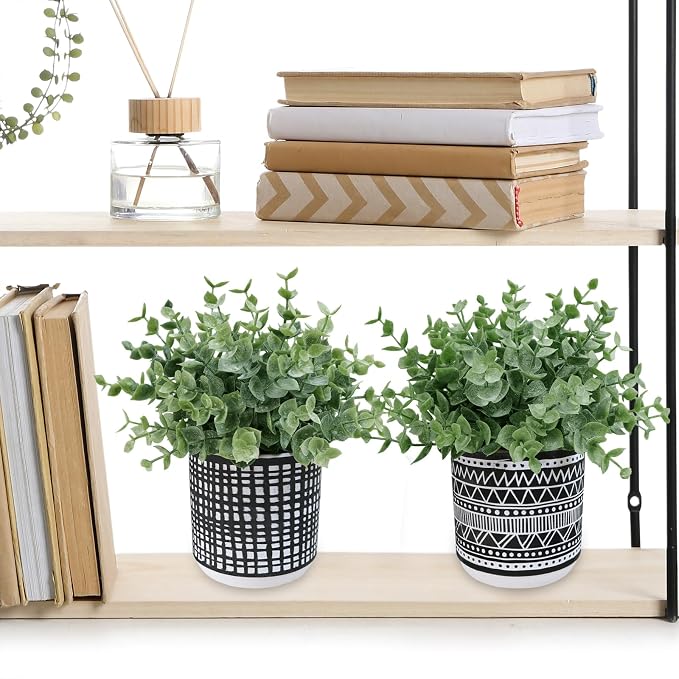 Winlyn Set of 2 Small Potted Plants Artificial Eucalyptus Plant in Black - Image 5