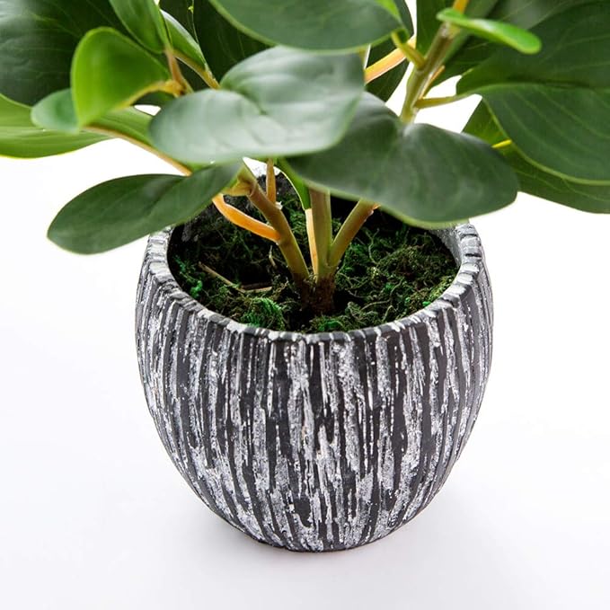 AlphaAcc Artificial Plants Real Looking and Touching Fake Plant Evergreen - Image 2