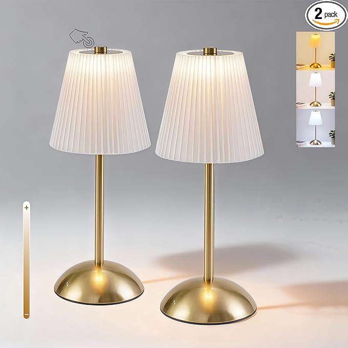 2-Pack Cordless Rechargeable Table Lamps, LED Small Battery Operated Lamp by PetiitLyt