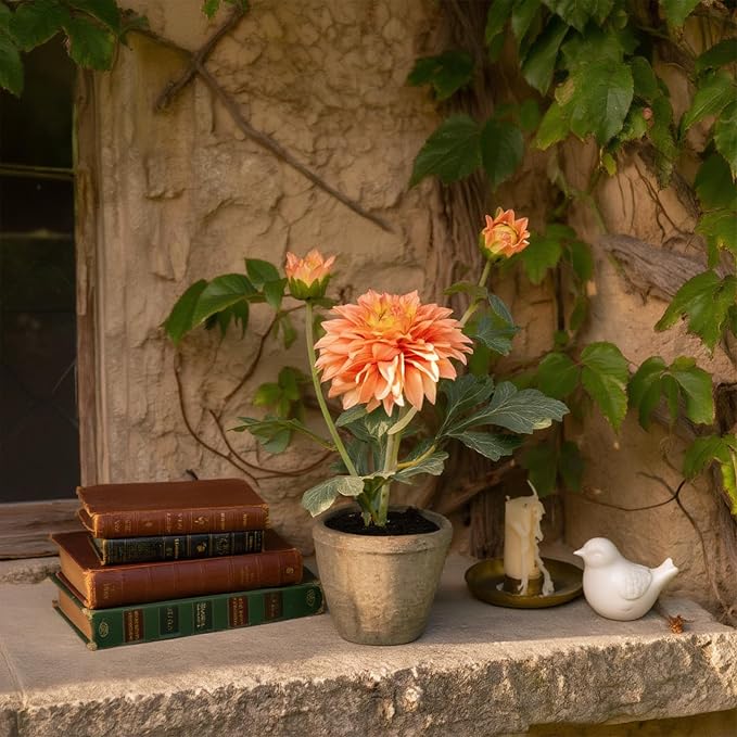 Champagne Dahlia Flowers Fake Silk Mums Flower Artificial Chrysanthemum Flowers - Image 7