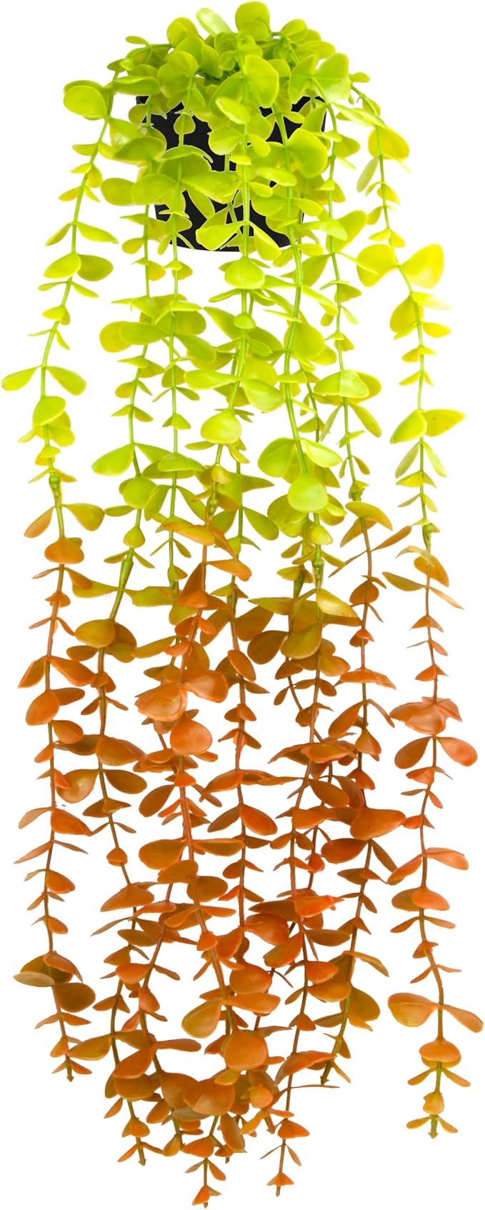 Palonu Artificial Hanging Plants by Palonu