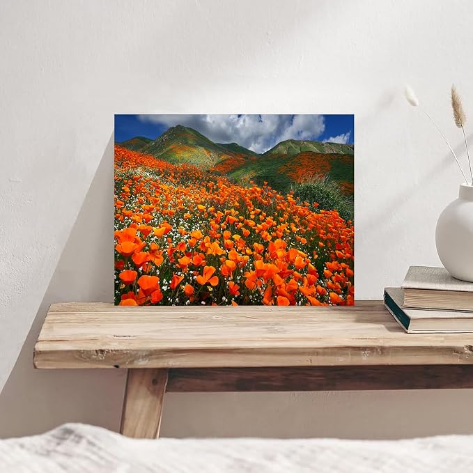 Orange Poppy Canvas Wall Art Nature Forest Mountain Landscape Pictures Wall - Image 3